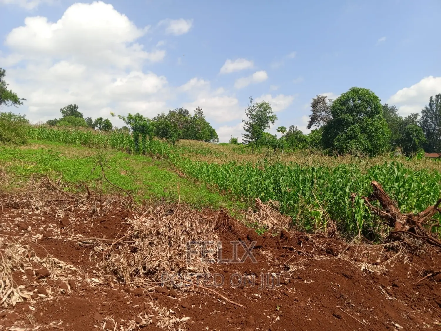 Sagana/Kagio Highway 2 Acres in Kerugoya Land & Plots for Sale, Felix Wanjohi Jiji.co.ke