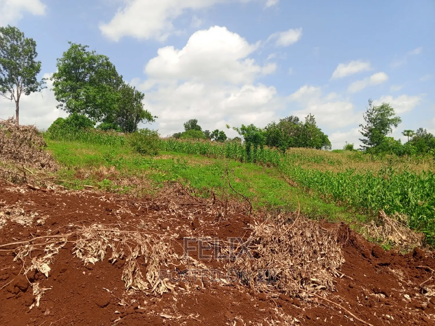 Sagana/Kagio Highway 2 Acres