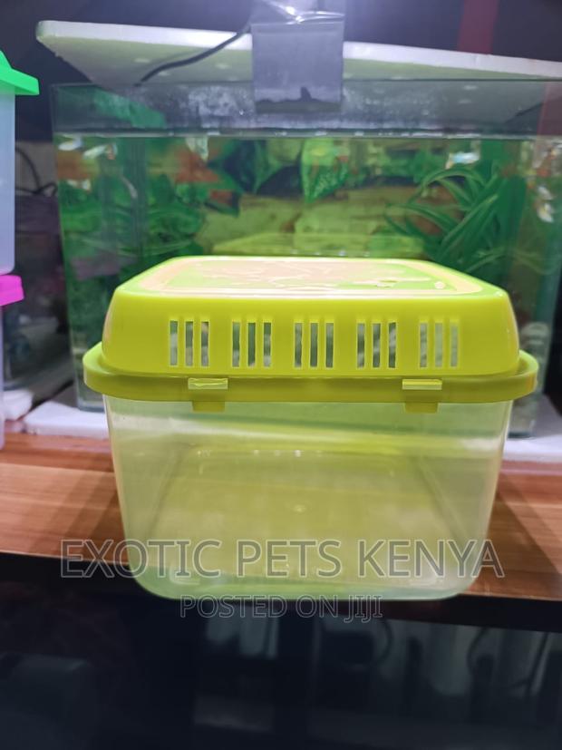 Fish Tank Plastic - main view