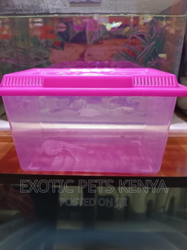 Fish Tank Plastic - thumbnail 3