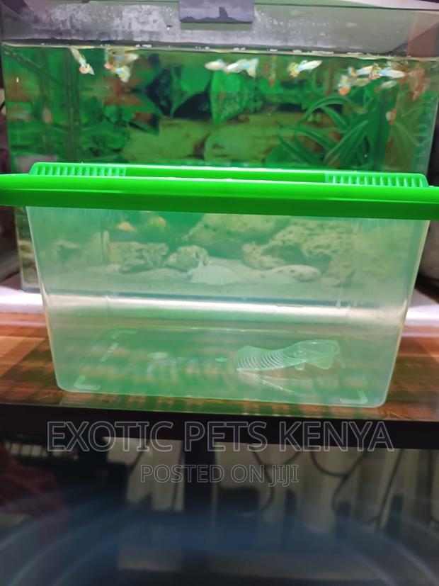 Fish Tank Plastic - thumbnail 4