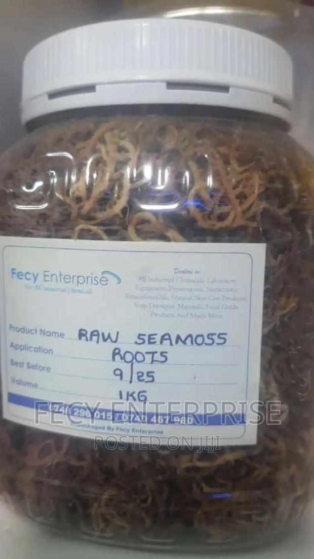 Raw Seamoss Roots - main view