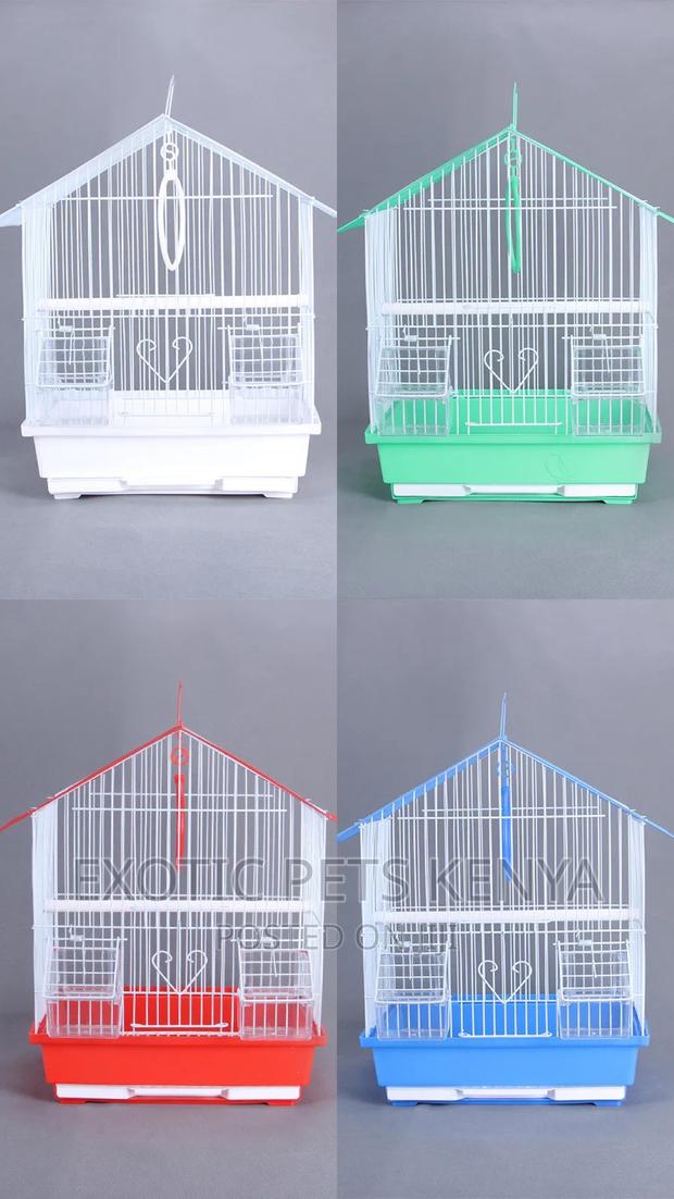 Lovely Bird Cages for Sale