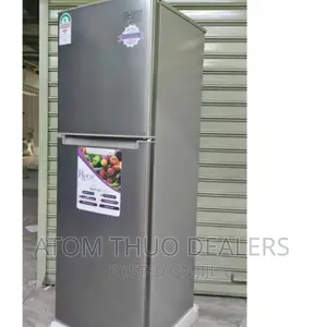 Silver 168 Litres 210dt Double Door Roch Fridge 