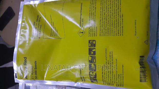 African Red 50,000 Seeds Onions - thumbnail 3