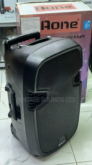 Aone 12inch Rechargeable Amplified Speaker With 2microphones