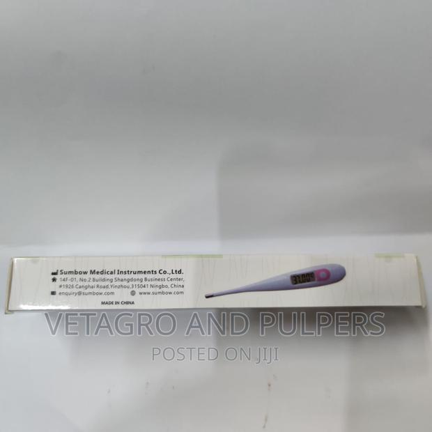 Digital Thermometer - thumbnail 4