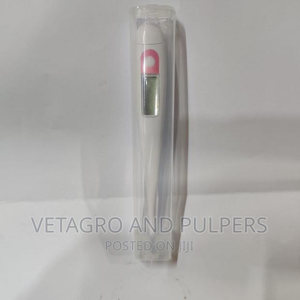 Digital Thermometer - thumbnail 3