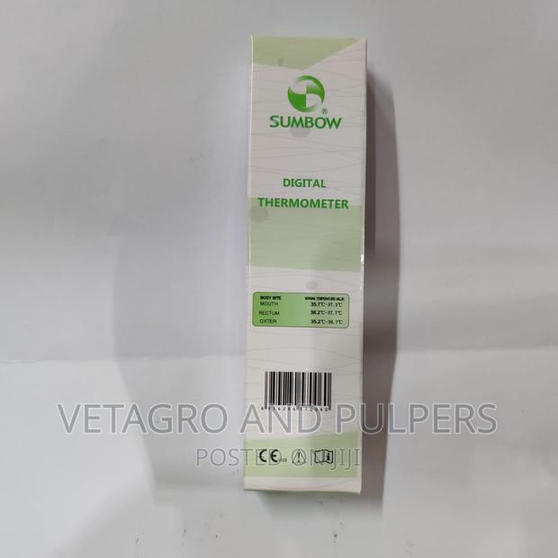 Digital Thermometer - thumbnail 2