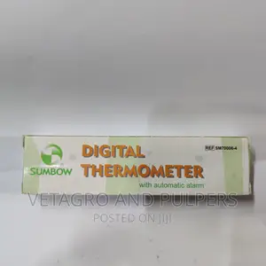 Digital Thermometer