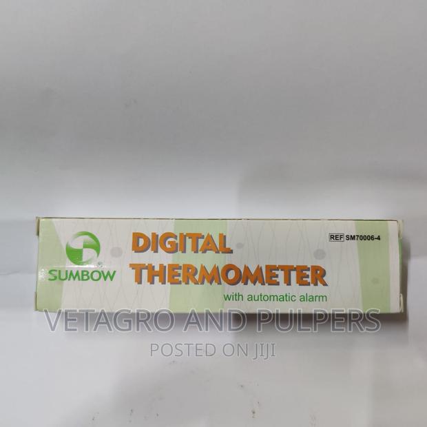 Digital Thermometer - main view