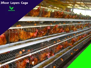 3floor Hens Layers Cage.In Kenya(Saves Space)One Year Warran