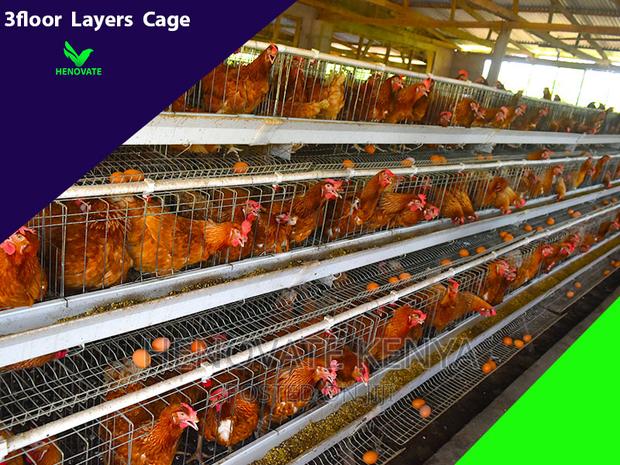 3floor Hens Layers Cage.In Kenya(Saves Space)One Year Warran - thumbnail 3