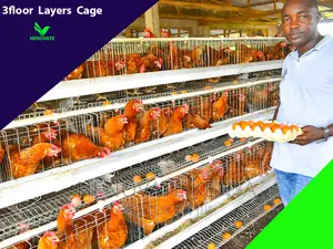 3floor Hens Layers Cage.In Kenya(Saves Space)One Year Warran