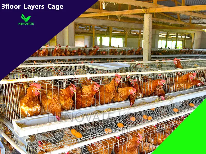 3floor Hens Layers Cage.In Kenya(Saves Space)One Year Warran