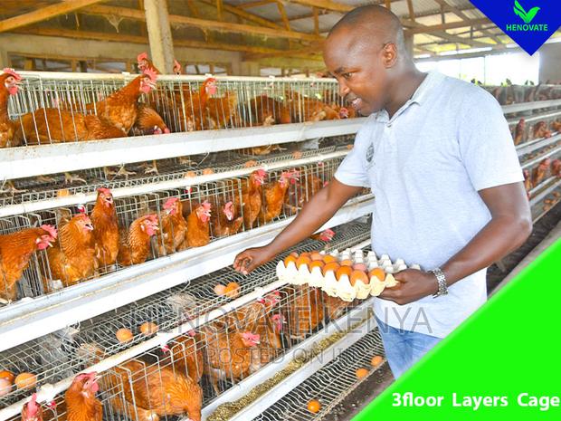 3floor Hens Layers Cage/Saving Space - thumbnail 4