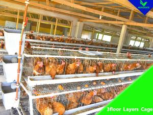 3floor Hens Layers Cage/Saving Space - thumbnail 2