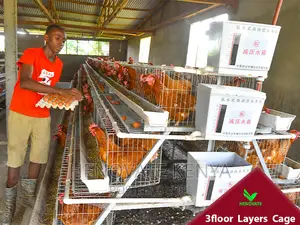 3floor Battery Chicken Cage With Automatic System