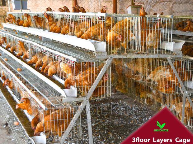 3floor Battery Chicken Cage With Automatic System - thumbnail 3