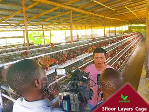 3floor Battery Chicken Cage With Automatic System