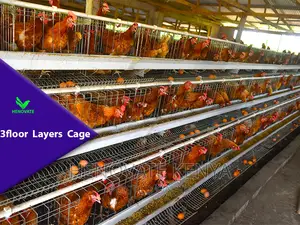 3 Floor Layer Chicken House in Nairobi
