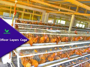 3 Floor Layer Chicken House in Nairobi