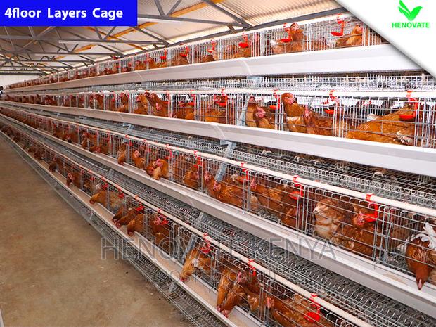 Chicken Layers Cage/4floor Easy to Control - thumbnail 2