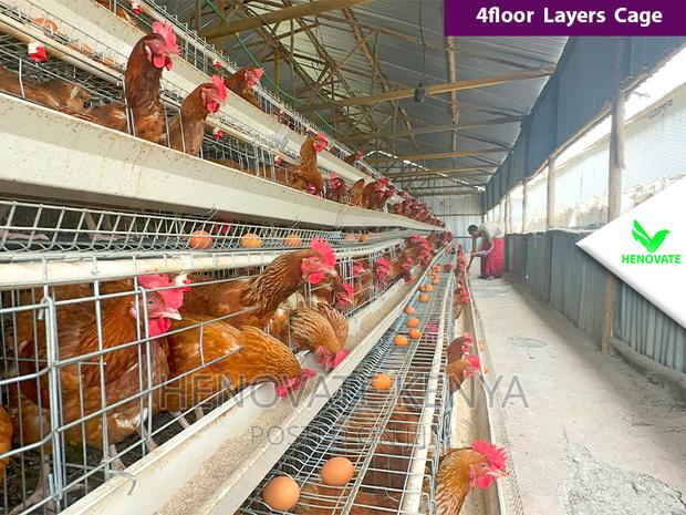 Best Quality Cages in Kenya/128 Birds - main view