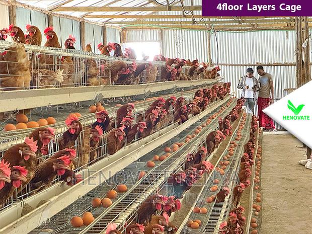 Best Quality Cages in Kenya/128 Birds - thumbnail 4