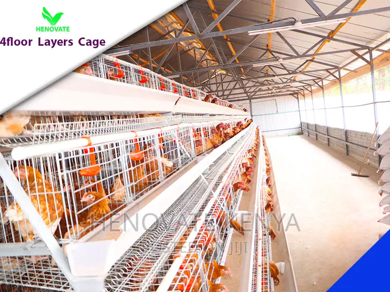 128 Birds Chicken Layers Cage in Kenya(Ruiru).