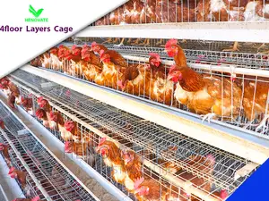 128 Birds Chicken Layers Cage in Kenya(Ruiru).