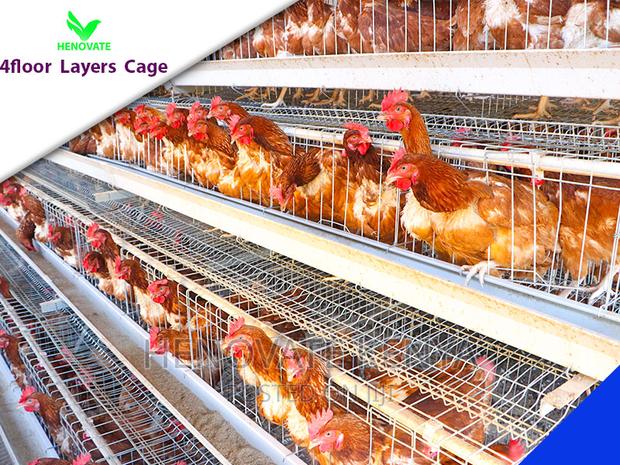 128 Birds Chicken Layers Cage in Kenya(Ruiru). - thumbnail 4