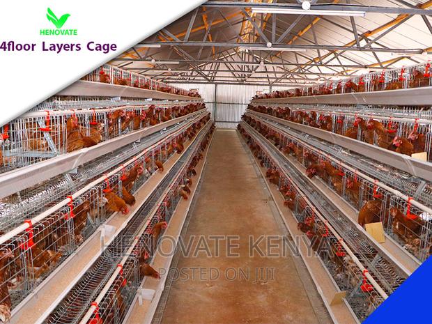 128 Birds Chicken Layers Cage in Kenya(Ruiru). - thumbnail 5