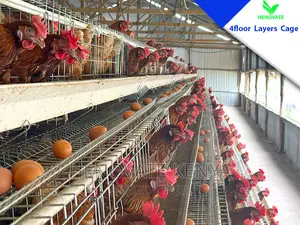 4 Tiers 128 Birds Battery Layer Cage in Kenya