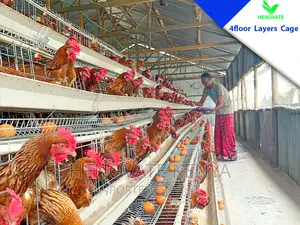 4 Tiers 128 Birds Battery Layer Cage in Kenya