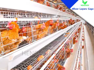 4 Tiers 128 Birds Battery Layer Cage in Kenya