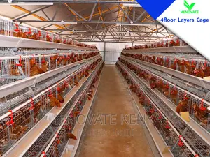4 Tiers 128 Birds Battery Layer Cage in Kenya
