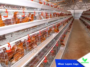 4floor Chicken Layers Cage/128 Birds in Kenya