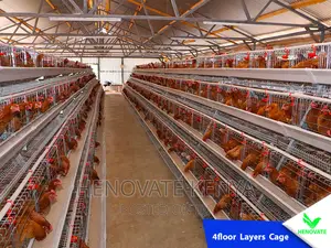 4floor Chicken Layers Cage/128 Birds in Kenya