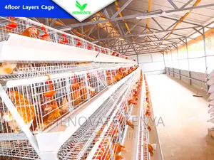 4floor Chicken Layers Cage/128 Birds/Brand New Cage