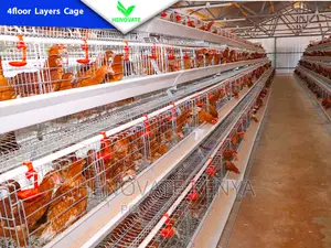 4floor Chicken Layers Cage/128 Birds/Brand New Cage