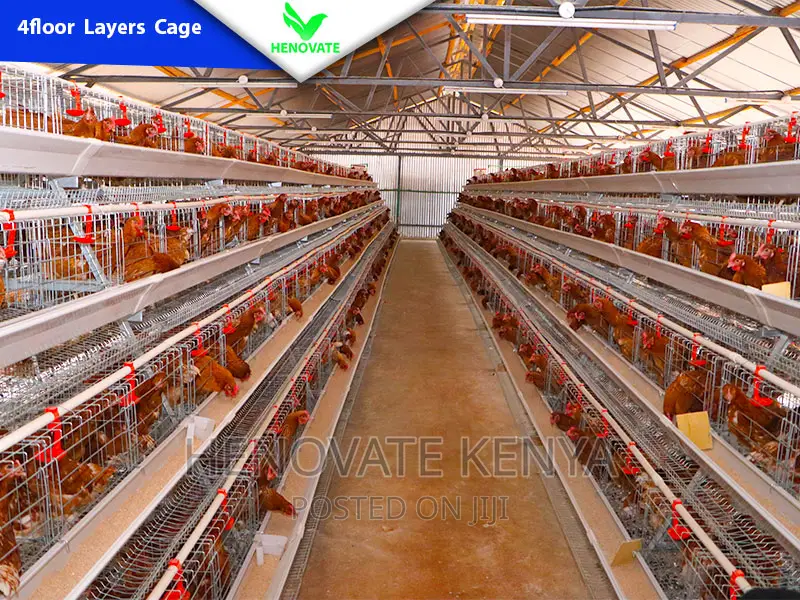 4floor Chicken Layers Cage/128 Birds/Brand New Cage