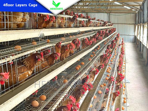 4floor Chicken Layers Cage/128 Birds/Brand New Cage - thumbnail 3