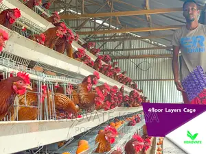 4floor Layers Cage/128 Birds
