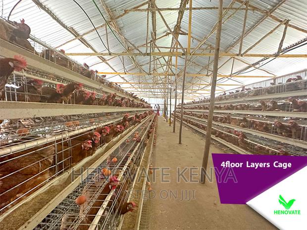 4floor Layers Cage/128 Birds - thumbnail 4