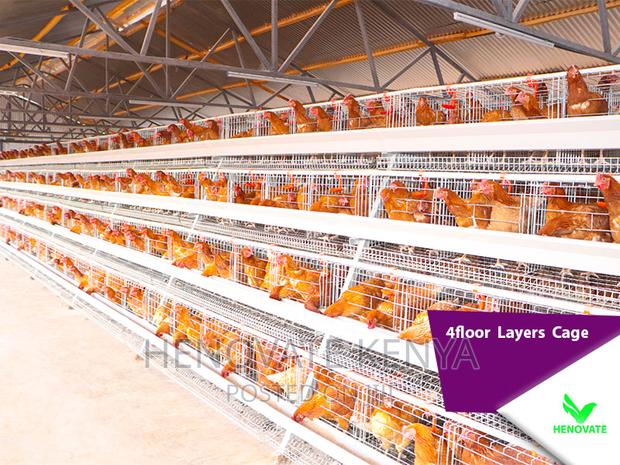 4floor Layers Cage/128 Birds - thumbnail 5