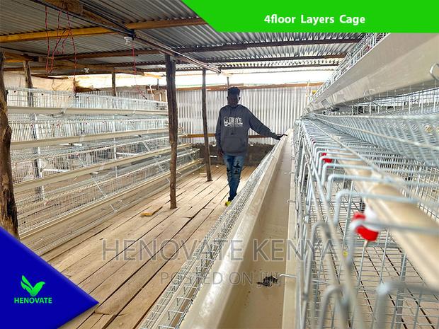 Chicken Layers Cage in Kenya /128 Birds - thumbnail 4