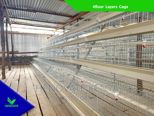 Chicken Layers Cage in Kenya /128 Birds - thumbnail 5