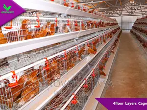 4floor Chicken Layers Cage/128 Birds Saves Space