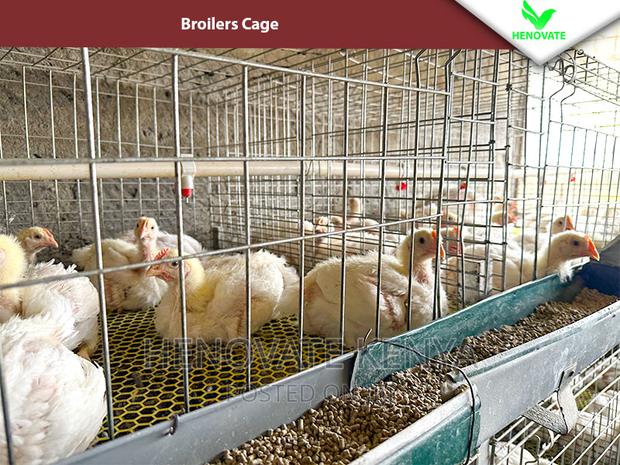 Reliable Broilers Cage With (One Year Warranty) - thumbnail 3